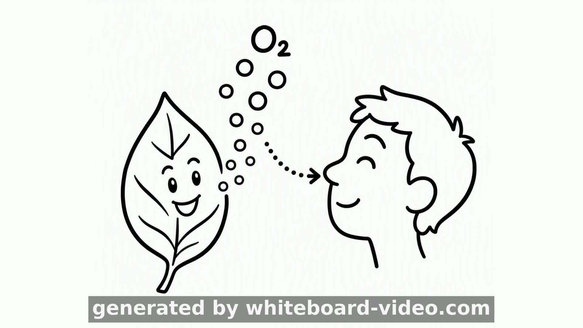 Photosynthesis in 30 Seconds