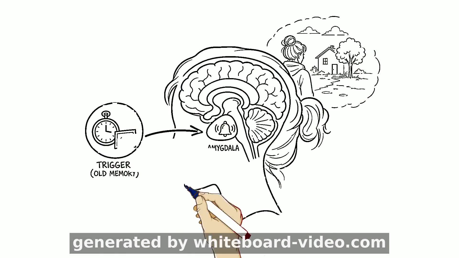 Inside the Anxious Brain